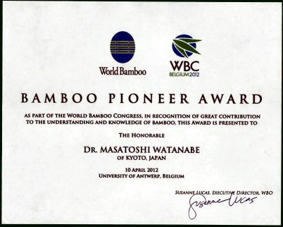 Bamboo Pioneer Award