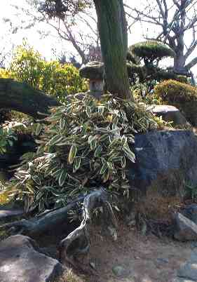 長崎、グラバー邸庭園