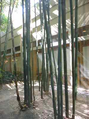 Plantation in Shin-miyako Hotel, Kyoto