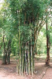Kanchanaburi, Thailand