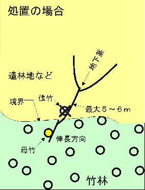 模式図 処置の場合