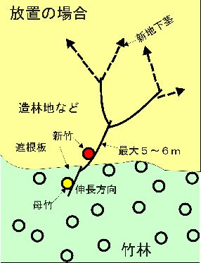 模式図 放置の場合